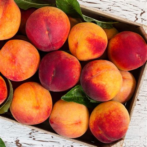 Your Guide to the Best Types of Peaches